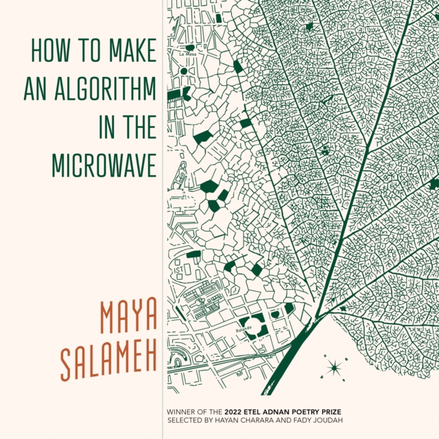 Book Cover for How to Make an Algorithm in the Microwave by Salameh Maya Salameh