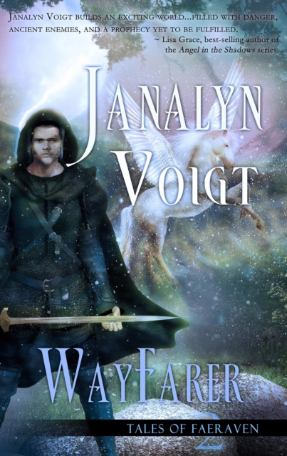 Book Cover for Wayfarer by Janalyn Voigt
