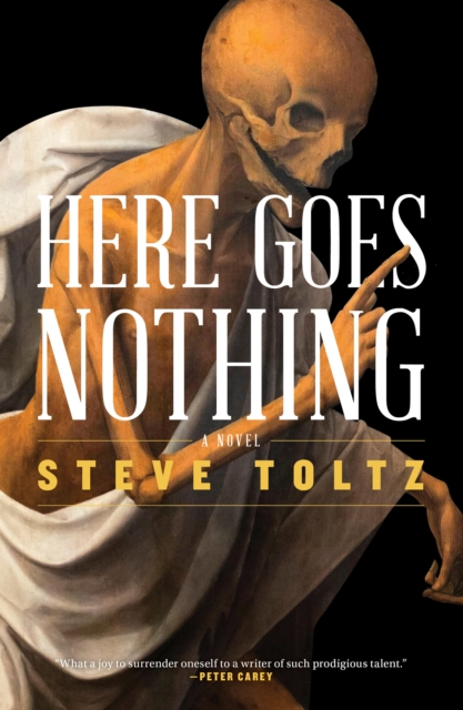 Book Cover for Here Goes Nothing by Toltz, Steve