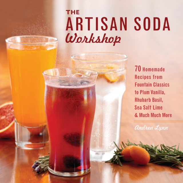 Book Cover for Artisan Soda Workshop by Andrea Lynn