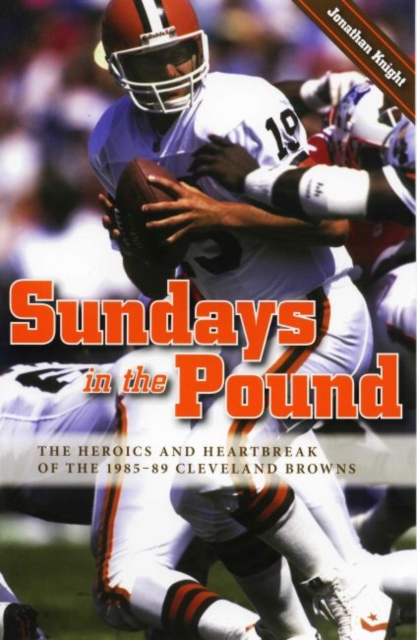 Book Cover for Sundays in the Pound by Jonathan Knight