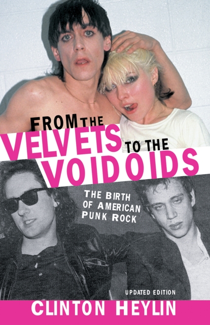 Book Cover for From the Velvets to the Voidoids by Clinton Heylin