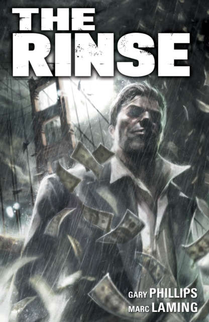 Book Cover for Rinse by Gary Phillips