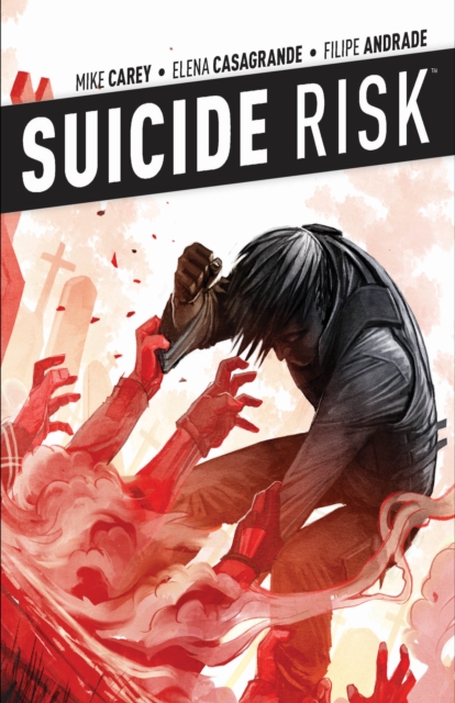 Book Cover for Suicide Risk Vol. 4 by Carey, Mike