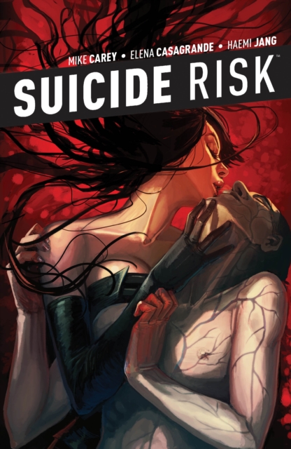 Book Cover for Suicide Risk Vol. 5 by Mike Carey