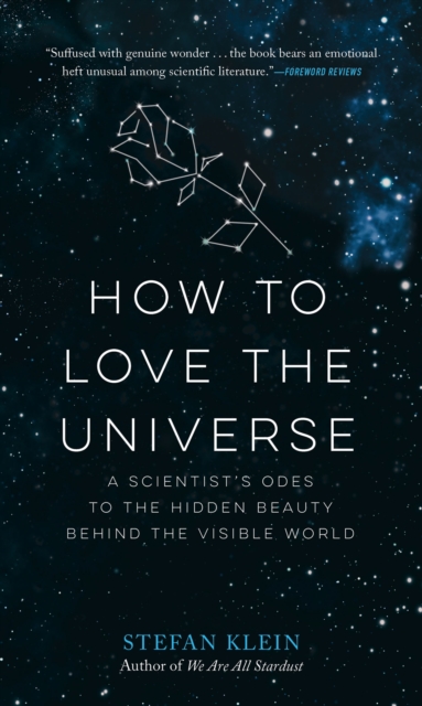 Book Cover for How to Love the Universe by Stefan Klein
