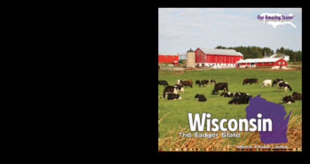 Book Cover for Wisconsin by Marcia Amidon Lusted