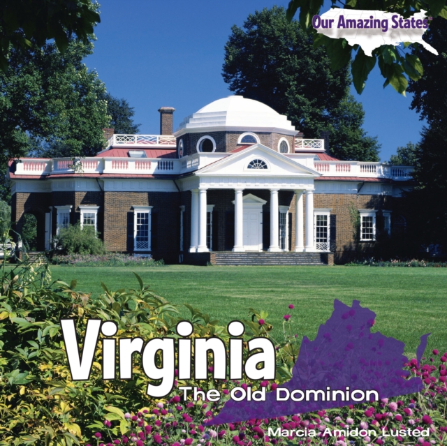 Book Cover for Virginia by Marcia Amidon Lusted