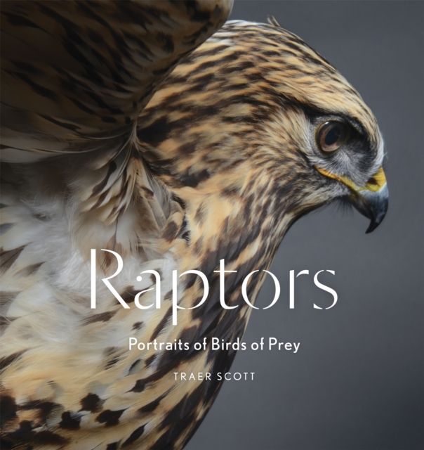 Book Cover for Raptors by Scott, Traer