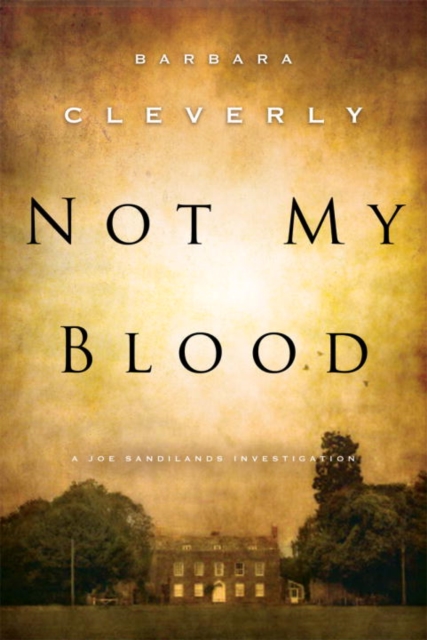 Book Cover for Not My Blood by Barbara Cleverly