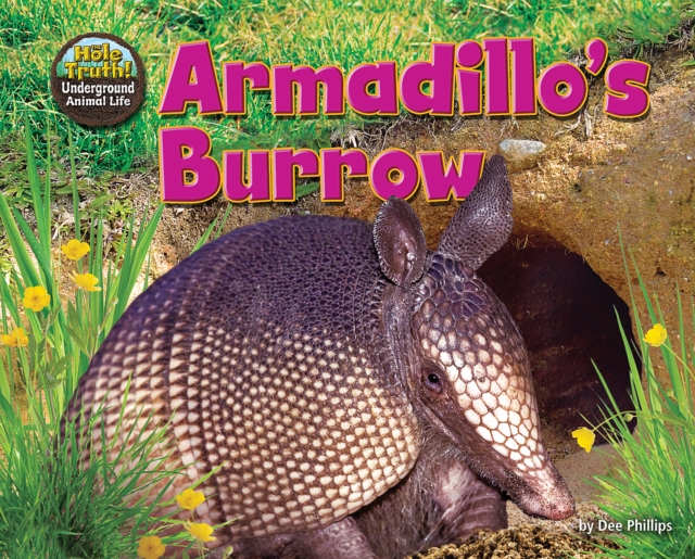 Book Cover for Armadillo's Burrow by Phillips, Dee