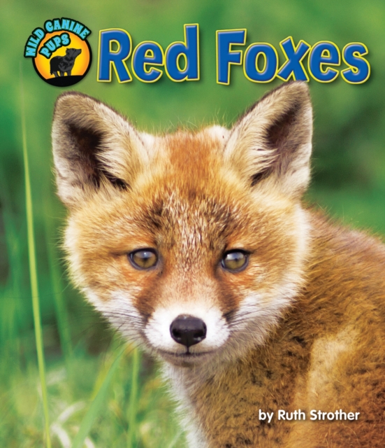 Book Cover for Red Foxes by Strother, Ruth