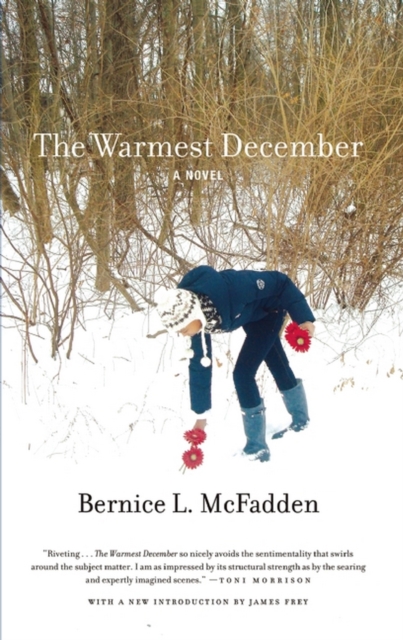 Book Cover for Warmest December by Bernice L. McFadden