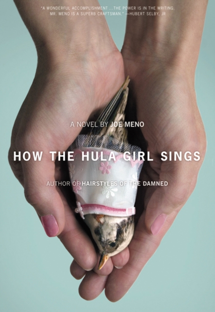 Book Cover for How the Hula Girl Sings by Joe Meno