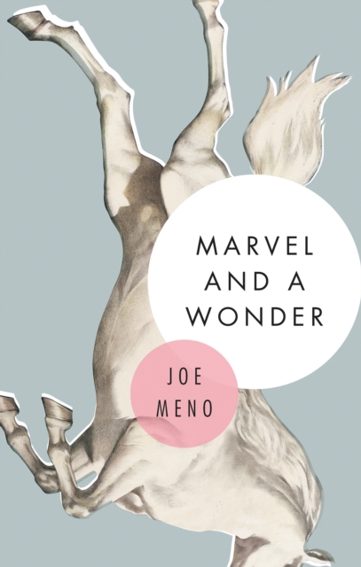 Book Cover for Marvel and a Wonder by Joe Meno