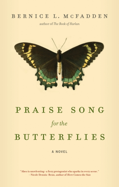 Book Cover for Praise Song for the Butterflies by McFadden, Bernice L.