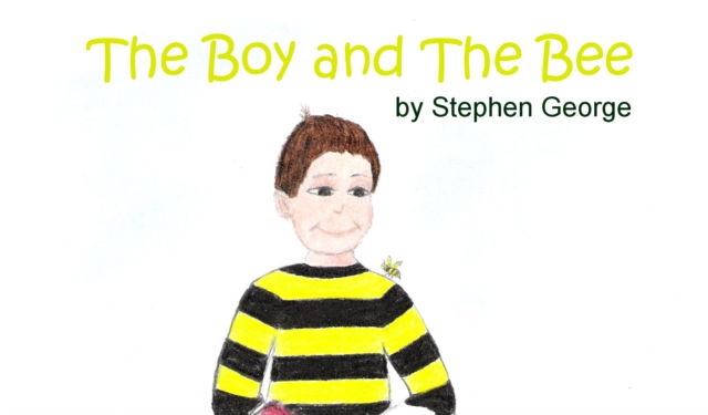 Book Cover for Boy And The Bee by Stephen George