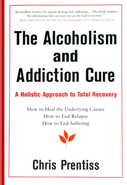 Book Cover for Alcoholism and Addiction Cure by Chris Prentiss