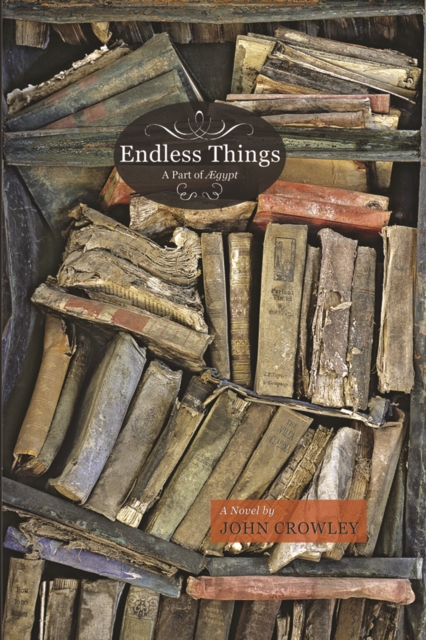 Book Cover for Endless Things by John Crowley