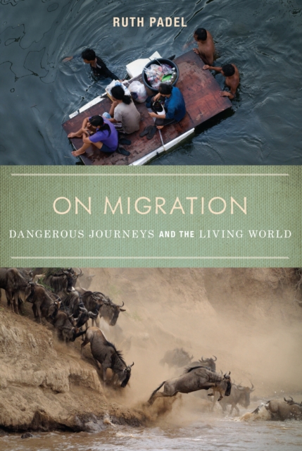 Book Cover for On Migration by Ruth Padel