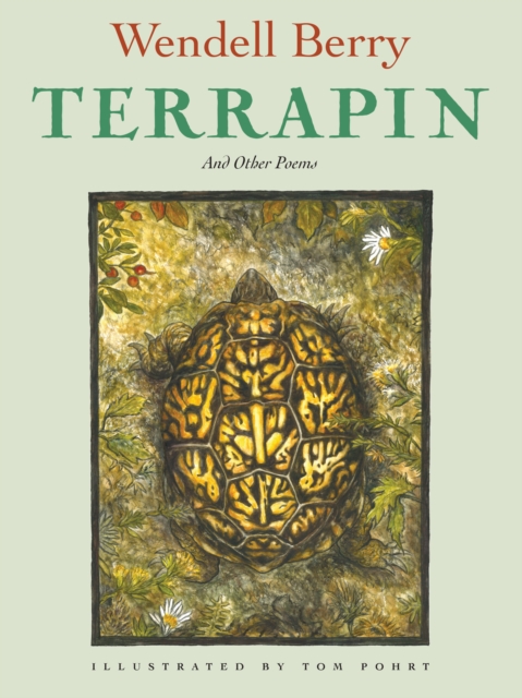 Book Cover for Terrapin by Berry, Wendell