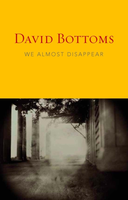 Book Cover for We Almost Disappear by David