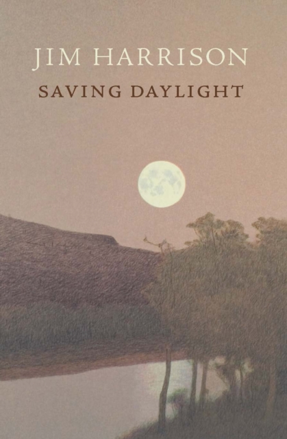 Book Cover for Saving Daylight by Jim Harrison