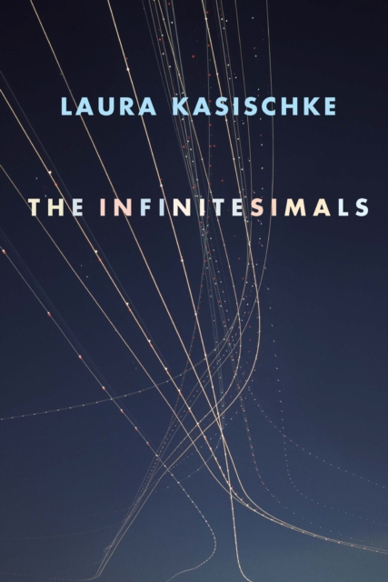 Book Cover for Infinitesimals by Laura Kasischke