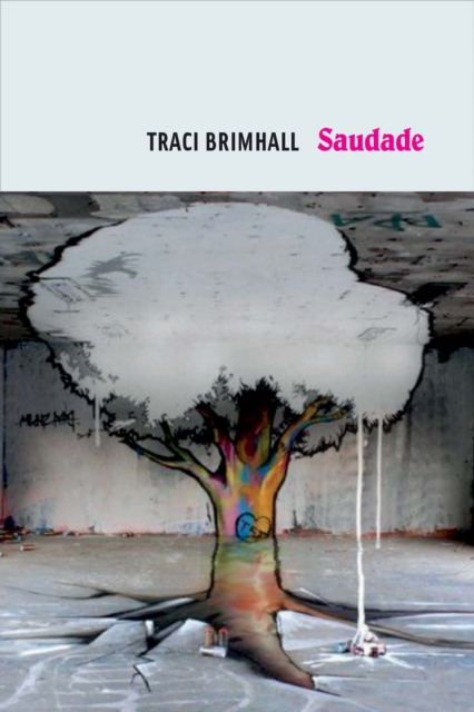 Book Cover for Saudade by Brimhall, Traci