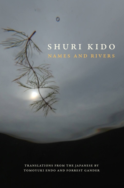 Book Cover for Names and Rivers by Shuri Kido