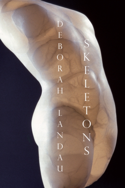 Book Cover for Skeletons by Deborah Landau