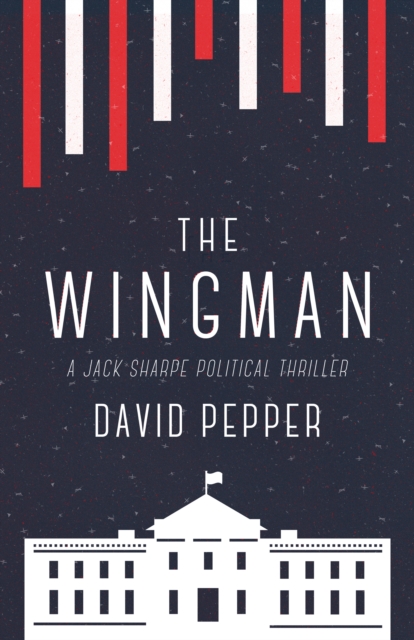 Book Cover for Wingman by David Pepper