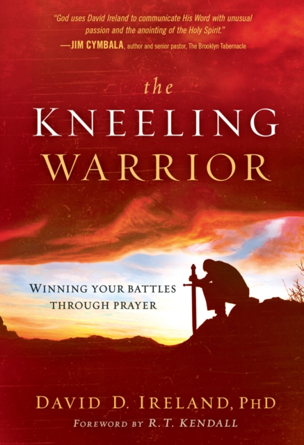 Book Cover for Kneeling Warrior by David Ireland