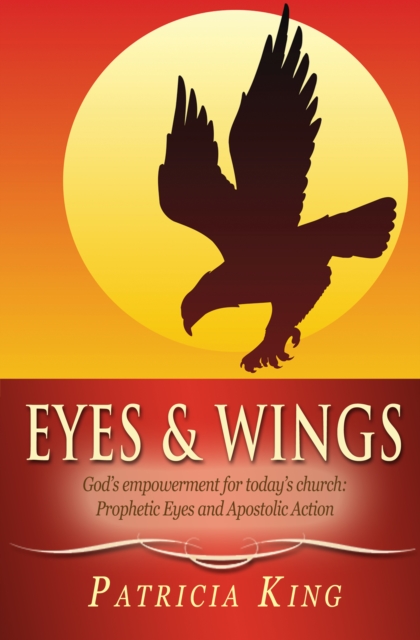 Book Cover for Eyes and Wings by Patricia King