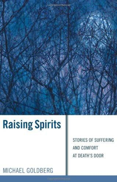 Book Cover for Raising Spirits by Michael Goldberg