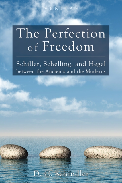 Book Cover for Perfection of Freedom by D. C. Schindler