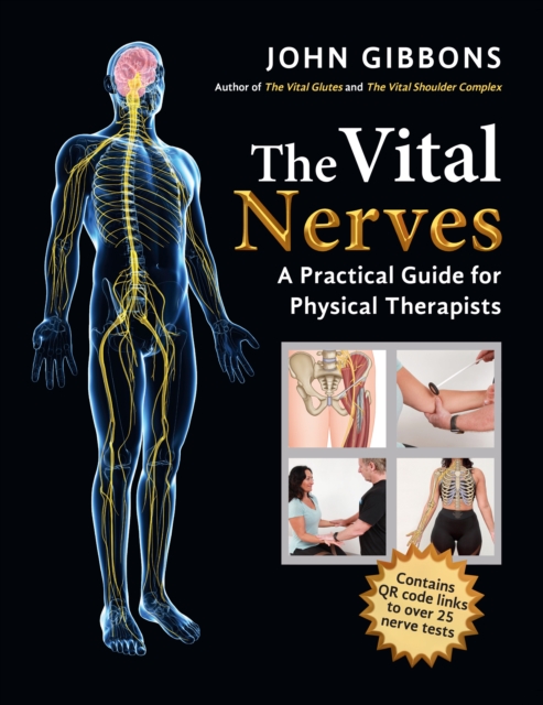 Book Cover for Vital Nerves by John Gibbons