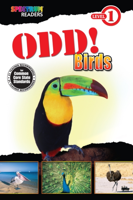 Book Cover for Odd! Birds by Domnauer, Teresa