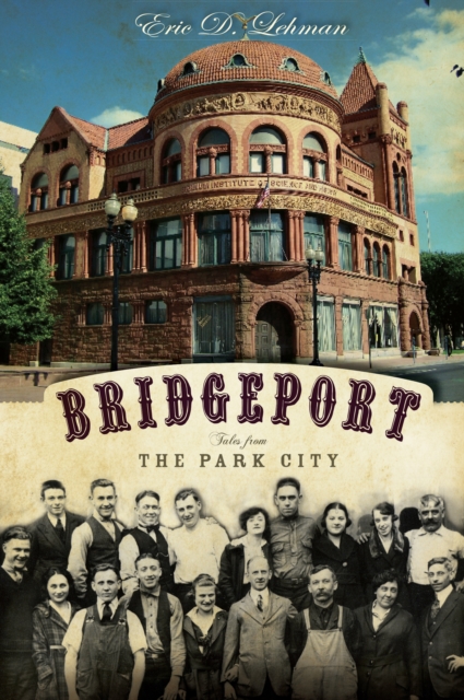 Book Cover for Bridgeport by Eric D. Lehman