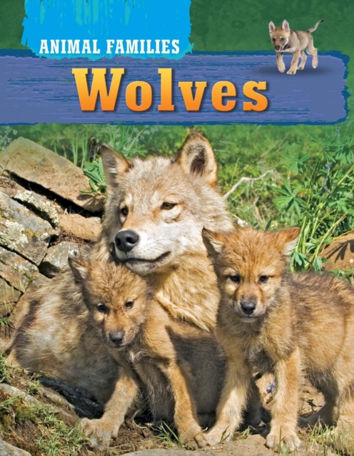 Book Cover for Wolves by Harris, Tim