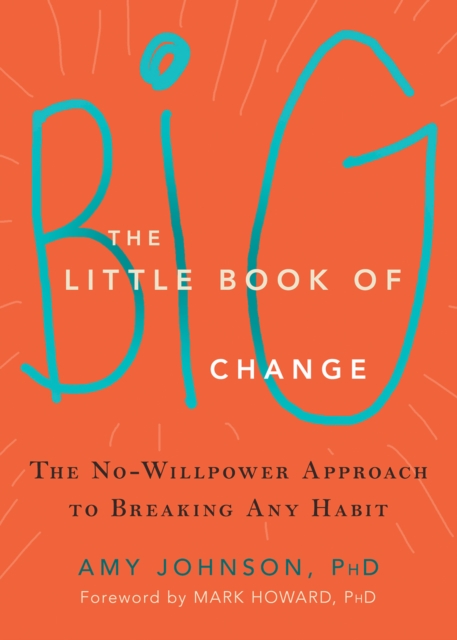 Book Cover for Little Book of Big Change by Amy Johnson