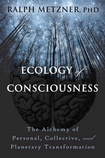 Book Cover for Ecology of Consciousness by Ralph Metzner