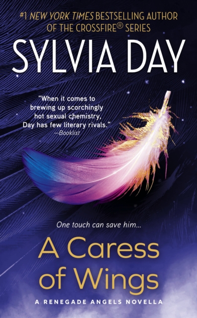 Book Cover for Caress of Wings by Sylvia Day