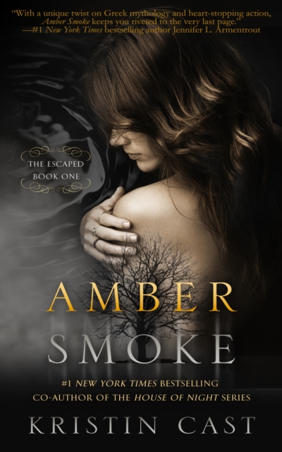 Book Cover for Amber Smoke by Kristin Cast