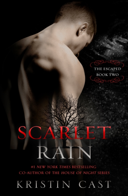 Book Cover for Scarlet Rain by Kristin Cast