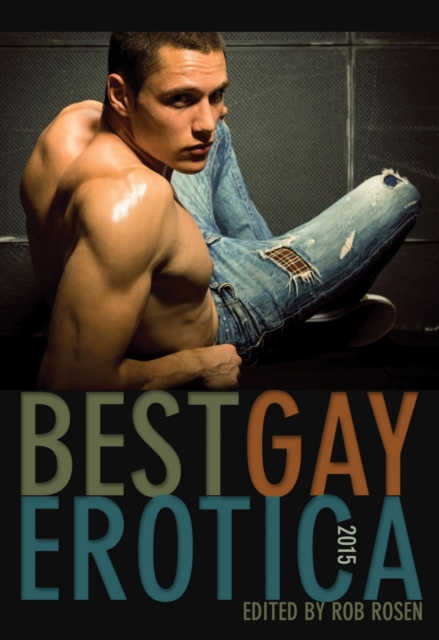 Book Cover for Best Gay Erotica 2015 by 