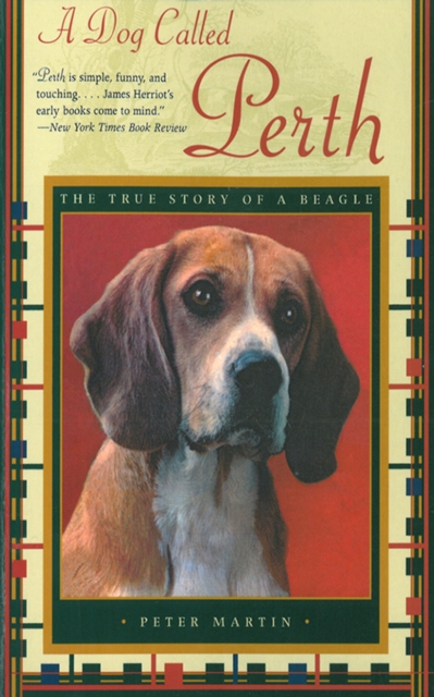 Book Cover for Dog Called Perth: The True Story of a Beagle by Peter Martin