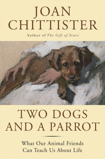 Book Cover for Two Dogs and a Parrot by Chittister, Joan