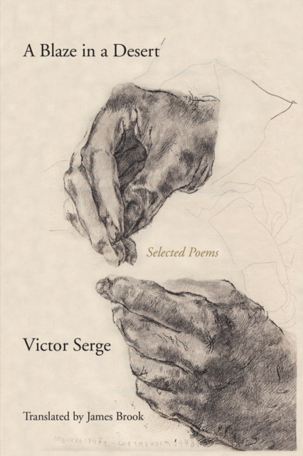 Book Cover for Blaze In A Desert by Serge, Victor