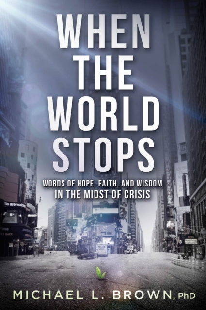 Book Cover for When the World Stops by Michael L. Brown